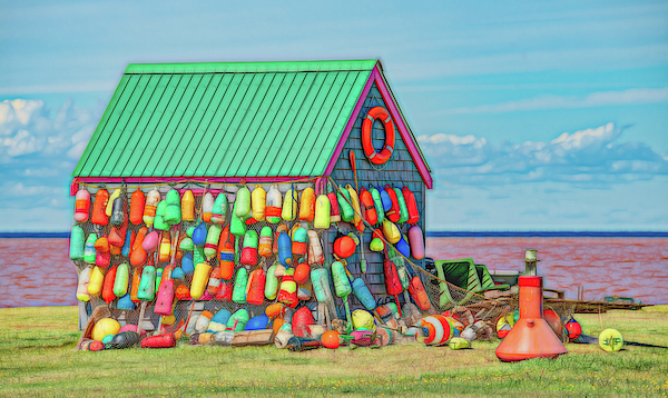 Colors of the Western Shore by Marcy Wielfaert Colors of the Western Shore by Marcy Wielfaert
