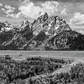 Remembering Ansel Adams, Black and White